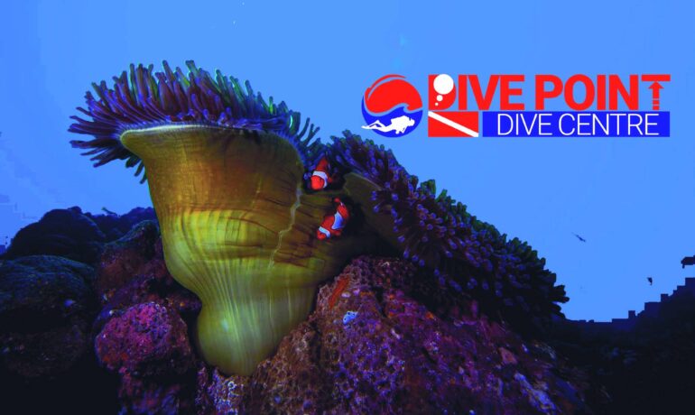 Siquijor , An Island Renowned For Its Variety of Macro Life, Healthy Reefs, Steep Deep Walls and Coral Gardens.