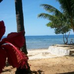 Toris Backpackers Paradise